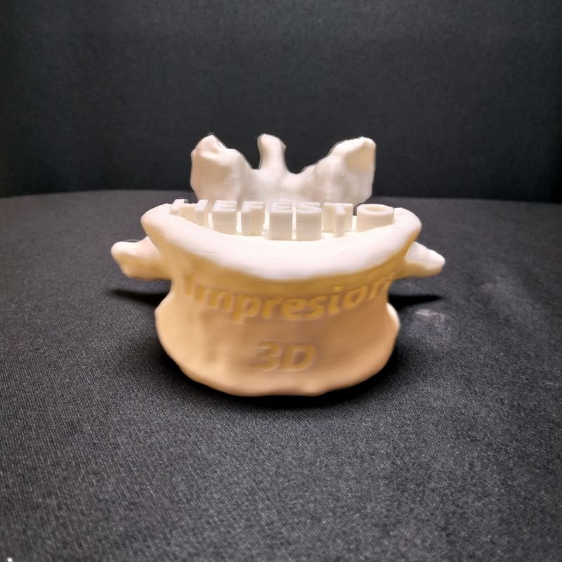 Vértebra — modelo físico 3D